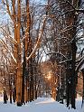 2010-11-30, erster Schnee (1)
